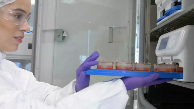 圖片來源：Emulate官網