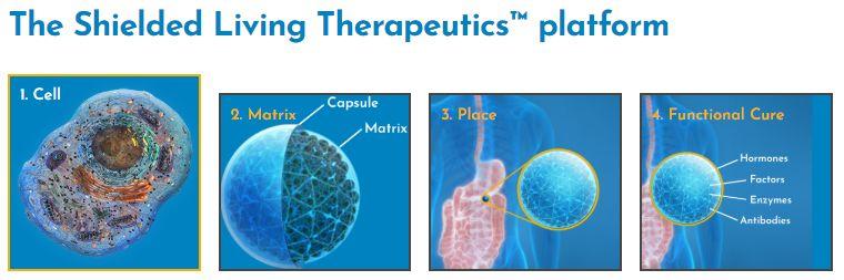 Shielded Living Therapeutics平臺（圖片來源：Sigilon Therapeutics官方網站）